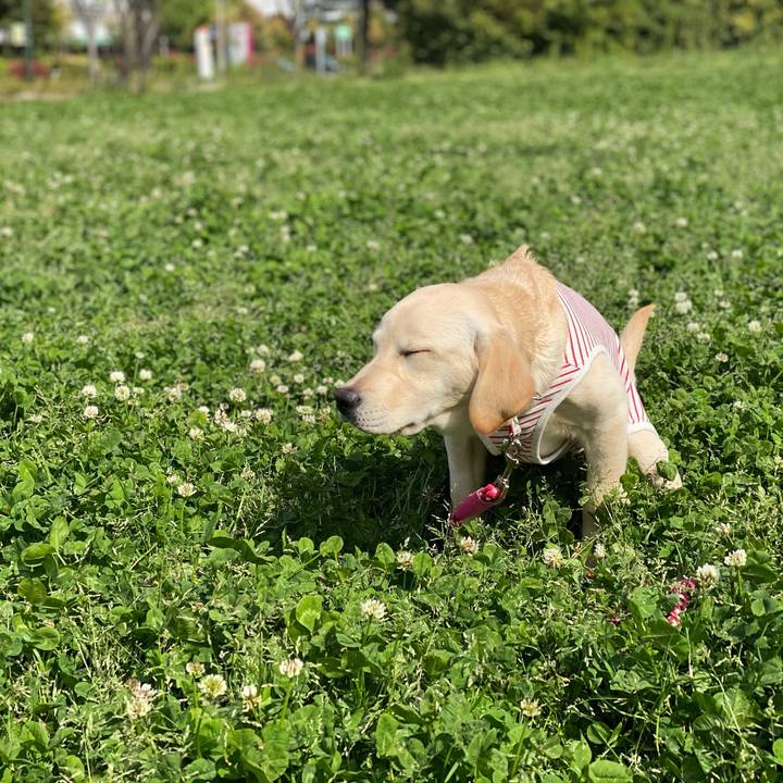 B31854e7 ce93 4852 9923 55b95d4ba00e 1618043293760