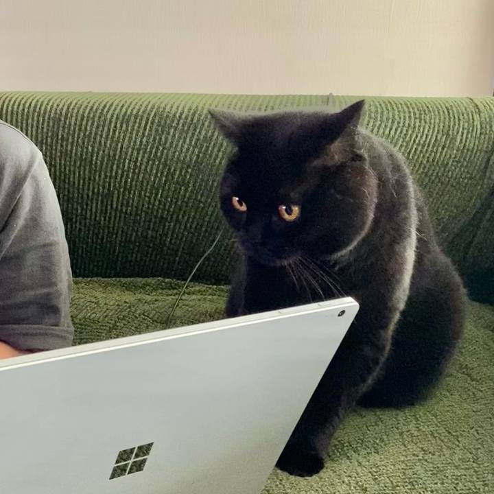 B3185d9a f31c 4530 aad0 3fcede763937 1695422429189