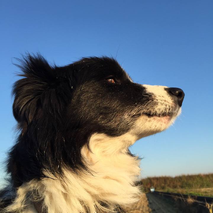 B318671b 9b0a 4059 9803 3707b3eee6c8 1541457415488