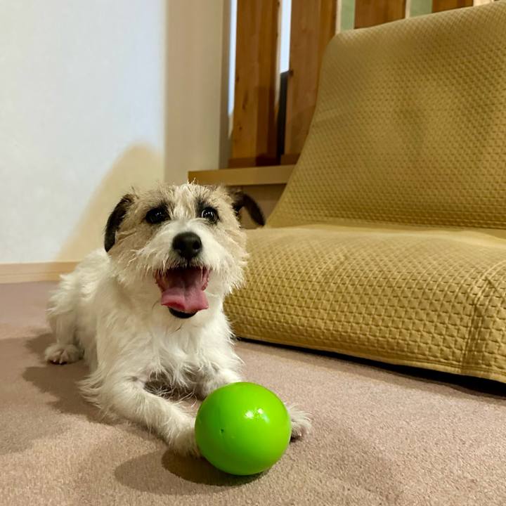 B318fefa 7e4d 49b0 bb01 9dd9ade96e80 1742936513295