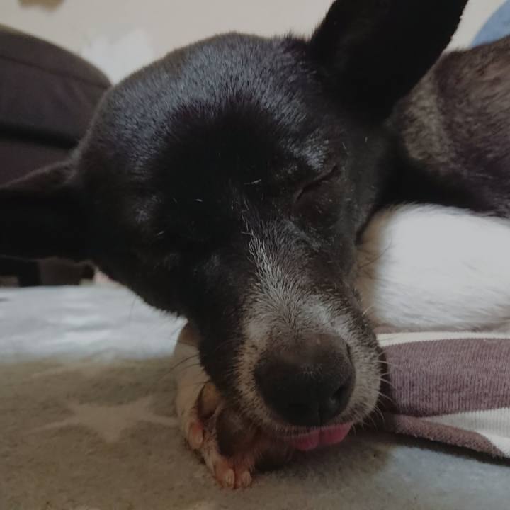 B31908cb f5c6 438c a63c fcef20190526 1529249553721