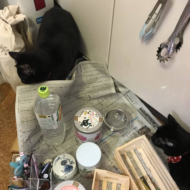 B3191041 3a3f 41b1 8afc 5cae5dca5bbd 1545527561786