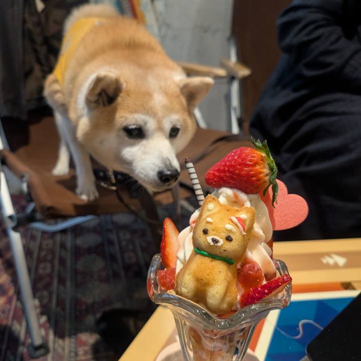 B31919b9 f120 487c 914f f33a7bd1ffb8 1766646315736