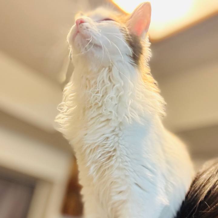 B3192cbf 6cd8 4f12 b60a 216663de26c2 1733525613917