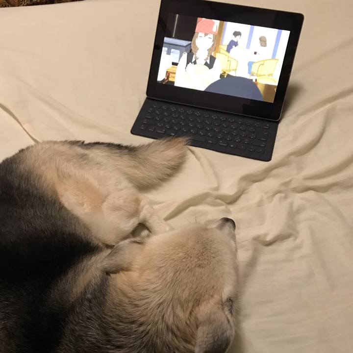 B3194dc5 7a94 4e80 9cd6 62b132f291d8 1601808939188