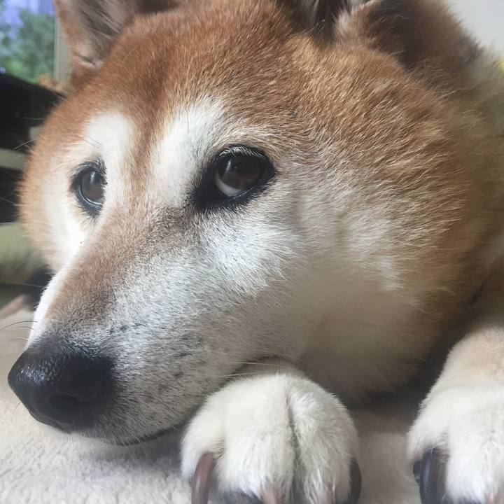 B319a0f7 d44a 4767 8800 f3d82d3b94cc 1526777639763