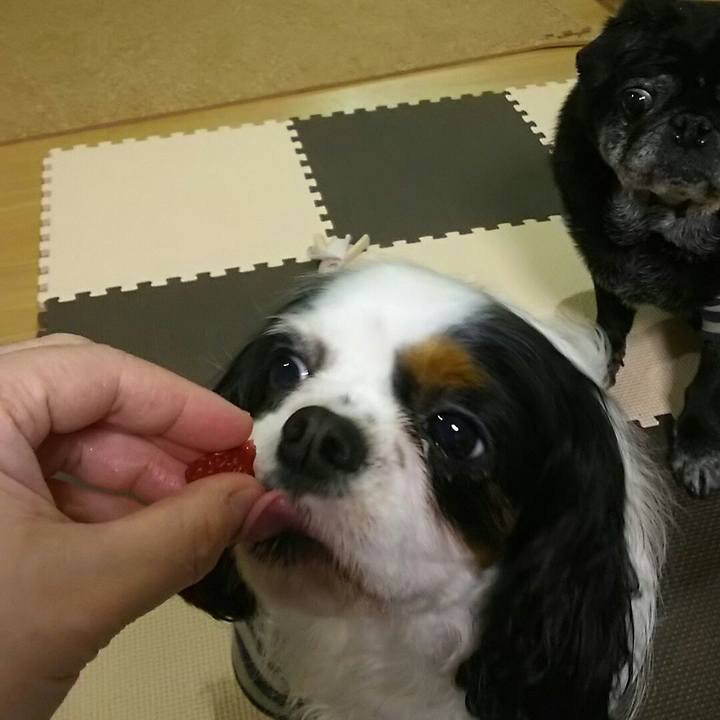 B31a0996 3dac 49bb 9966 3267001eb8dd 1520603688109