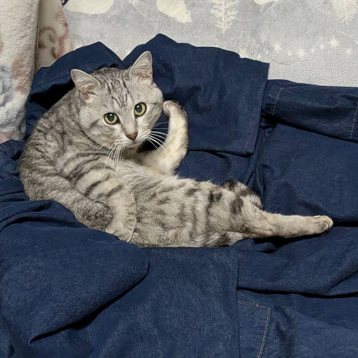 B31a1902 3030 4850 84aa eb87368a955f 1767543778865