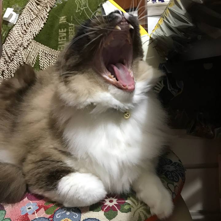 B31a322c 955f 4a45 932b 867d4d63a4be 1524356508145