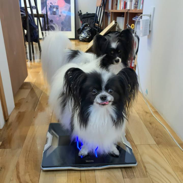 B31a5a28 fa33 4579 8d4b 7161e41112fa 1562208849934