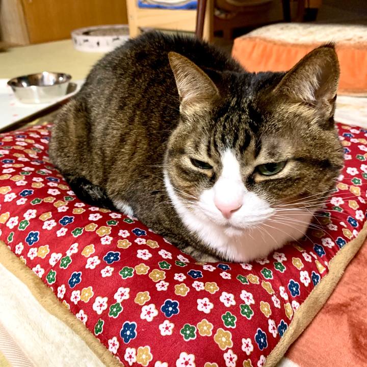 B31a5c98 1f57 4a52 b9ae e4b7cba1b347 1579765217280