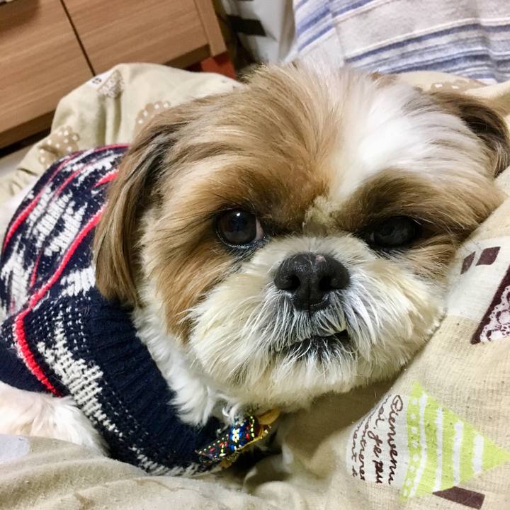 B31a86b7 4b55 4176 adf3 9d8376bd468d 1514553638788