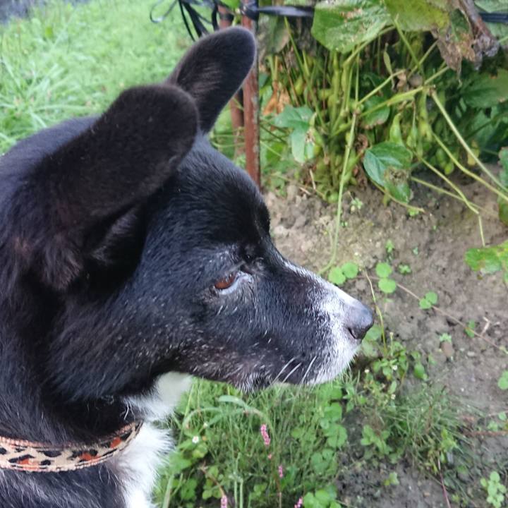 B31a8821 58bb 4e67 b1ed fff0a7720e50 1570790420436