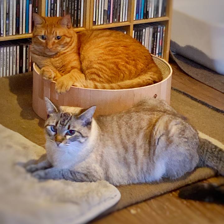 B31a9d2e 07ad 49e6 9b11 8289a6bcff46 1751148627398