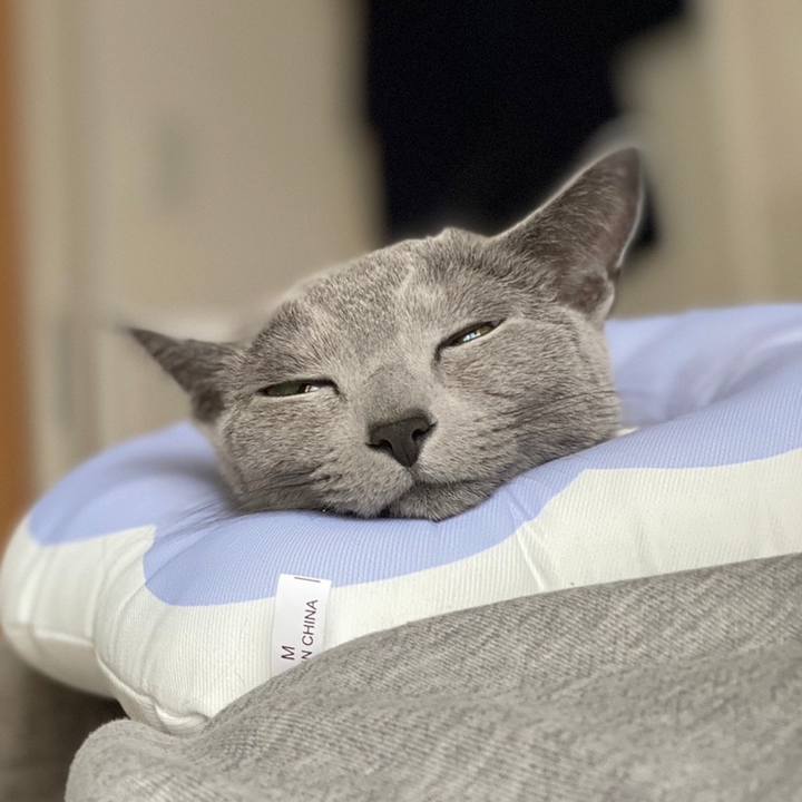 B31a9e99 6d90 435c 8a5c 80539767efd0 1684073054121