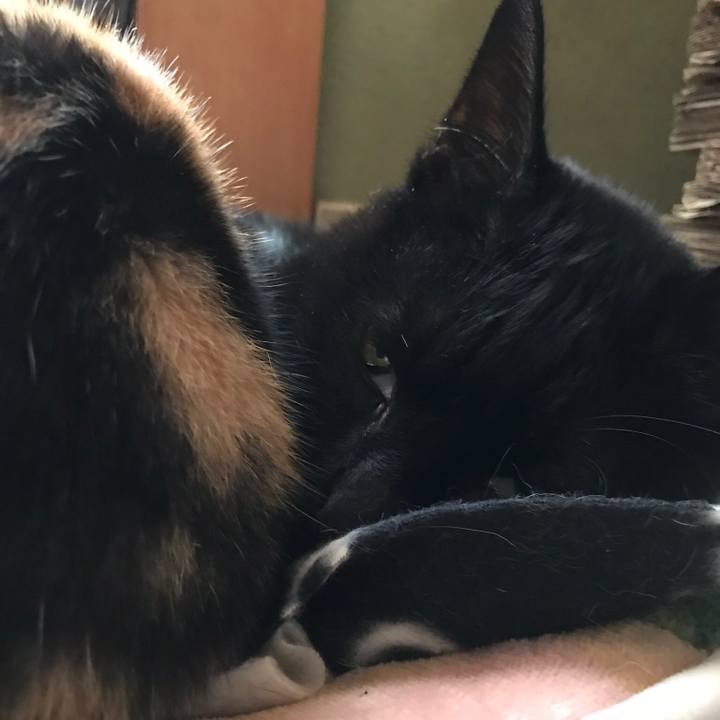 B31aa797 fd26 4c81 ac4d 32630d8cf28c 1510450599866