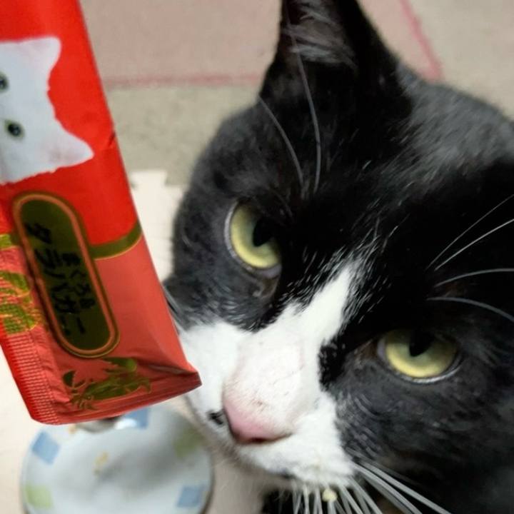 B31ab4e0 c858 4002 b464 3dbeb2f3b11b 1738237372356