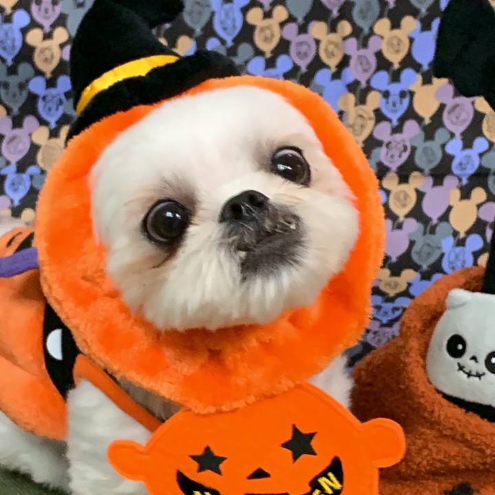 B31aecb5 1241 4026 b3e5 8b4c78a2c33d 1667223112880