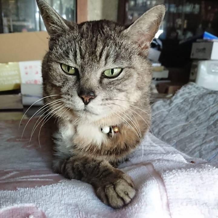 B31b0021 7091 4264 bd87 ed4b51d20f92 1591134040605