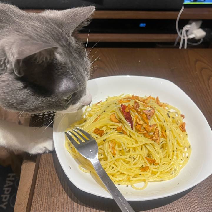 B31b2304 e557 45b5 b178 094e05796e9b 1709986033958