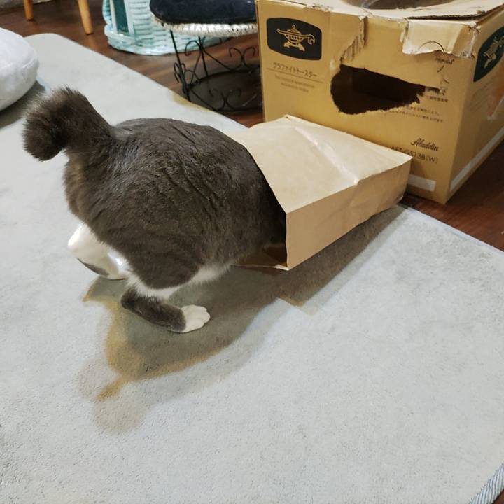 B31b233c 0c26 4b80 a4b6 d519b6b1acfa 1713477650430