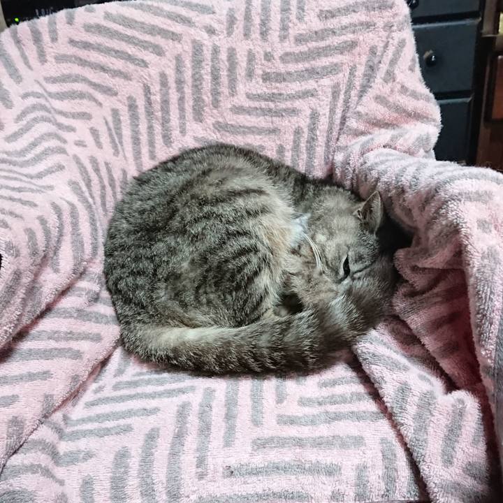 B31b285e 8f77 434e 89a8 bccdbf37ab62 1590443760917