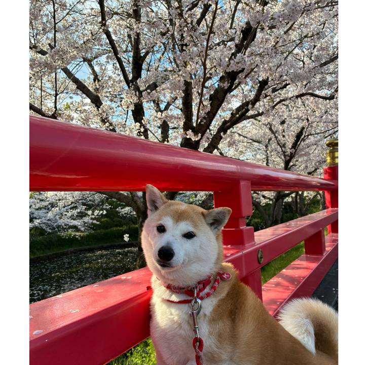 B31b5128 dc46 44d4 aaa9 f9380374b004 1743926135829