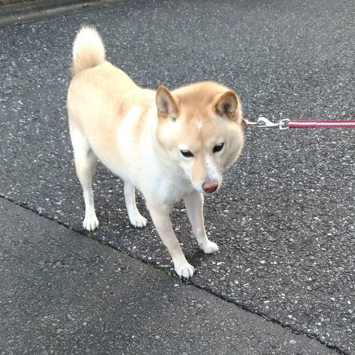 B31b5c39 8740 4852 9f93 d60d00e759df 1607294950251