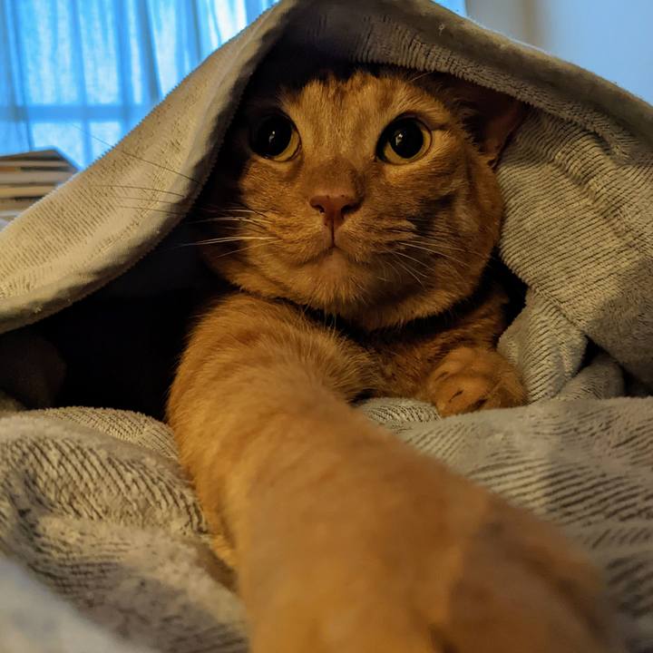 B31b8014 054c 40ab 847e 6d5519130b18 1670540090762