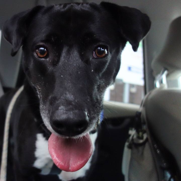 B31bb7a9 7fc6 46a4 97c5 fc0d1dd68a11 1653042304077