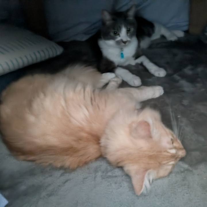 B31bd181 9325 4e34 95fb e68458bde741 1733190128986