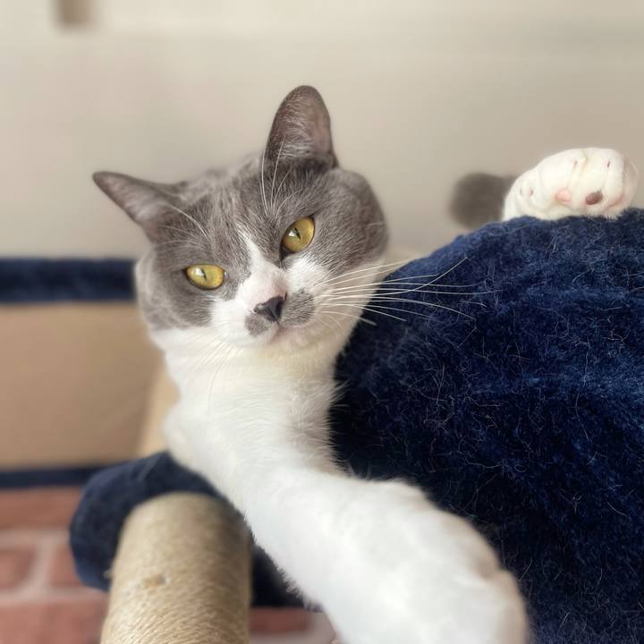 B31bf1da 6150 4847 b8ff 100516e824e7 1636166284571