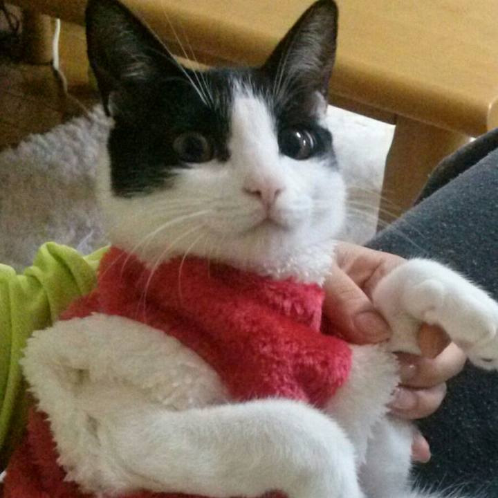 B31c2026 844f 423a 9f8a 334b9c5d0e38 1576996600829