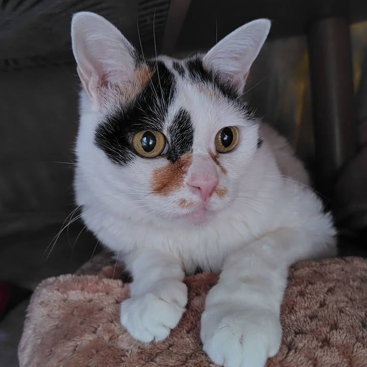 B31c4f37 65d8 49e0 9aae 897ca0d2bb32 1738901031624