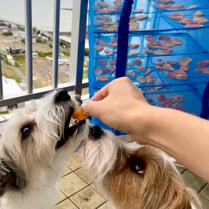 B31c5a0a b19e 4e17 aa01 7ec2f9d5cd2e 1762041796553