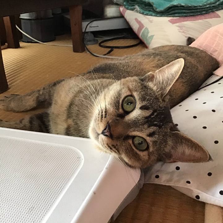 B31ce6fd 6cc7 4420 9be3 f471b477fc3b 1577922898577