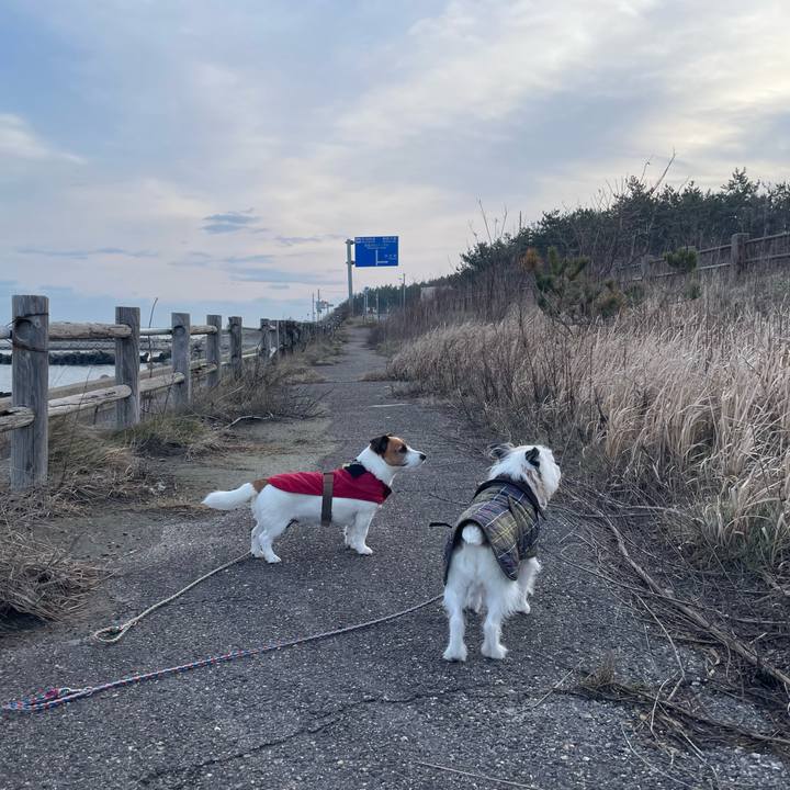 B31d14f3 66fe 4e35 88be bfc1fc2c6cf2 1709596701558