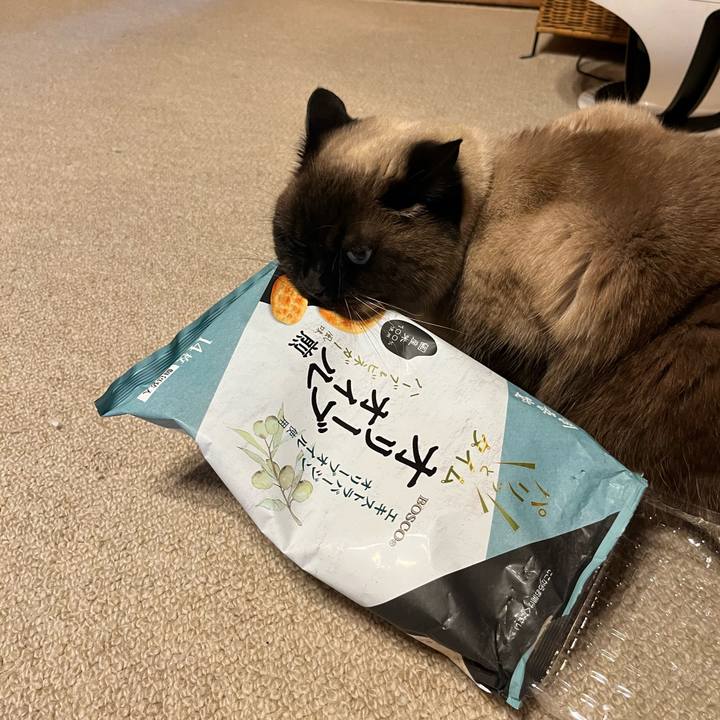 B31d2b3f 7a9c 41ec 90e7 c70ac12e3e51 1675655137469