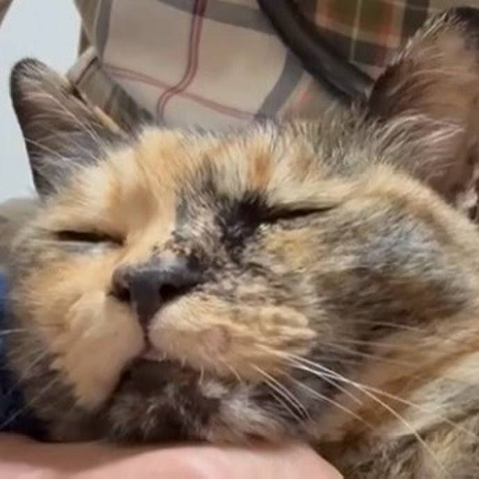 B31d58c2 f8a4 4fca 9926 c2641b010f59 1749780890806