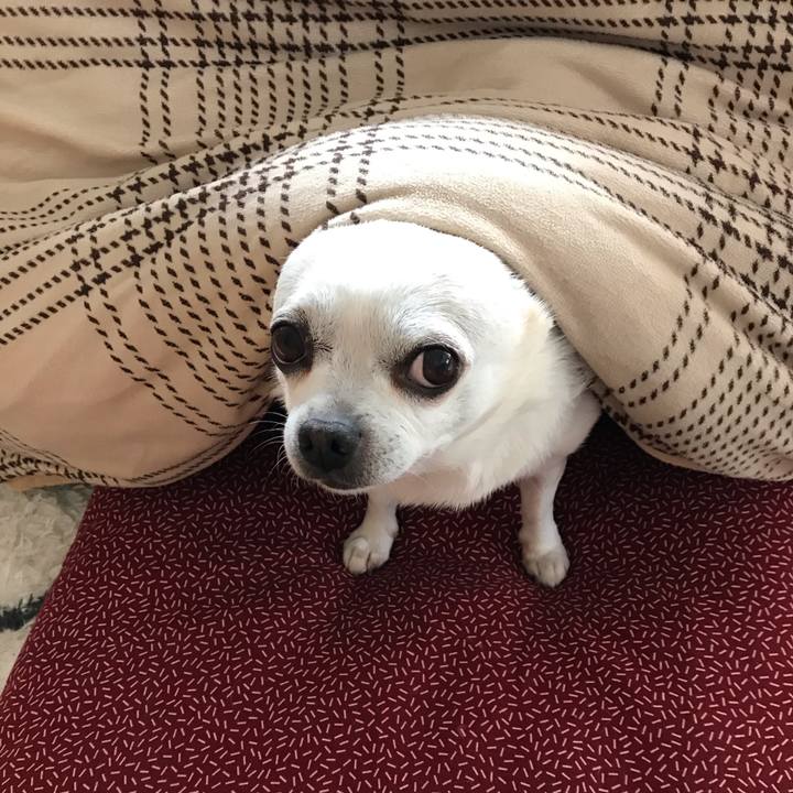 B31d6673 cf5a 4e66 8dac cd987f86e40a 1602421804865