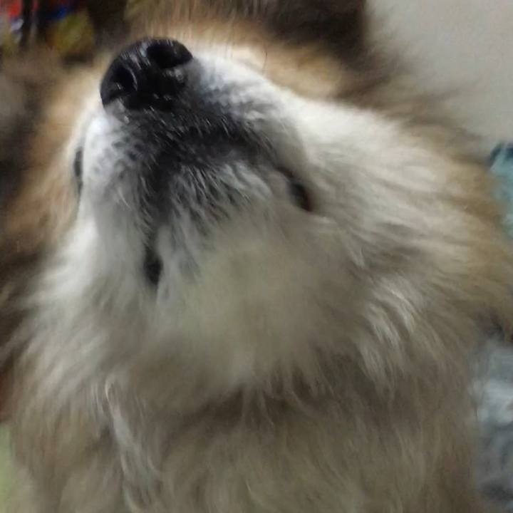 B31dd3b5 abde 430b bbd9 c45fb9c9cd27 1597286174114