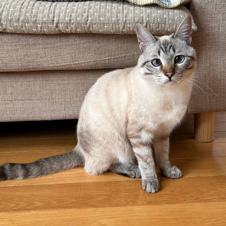 B31e202e 9b30 40e0 8fde 230ae35119aa 1743425631329