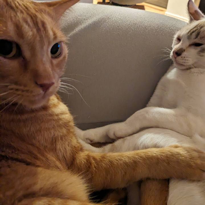 B31e28c7 6252 4bd4 bf72 4ee00bad03a4 1696681591180