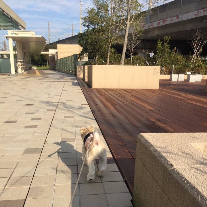 B31e5e6e 96a8 4a88 85bb ba5070d4152b 1539777279699