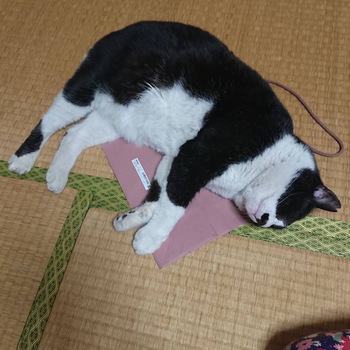 B31e7f1b d313 4b01 88c7 abd62a69429b 1557662903014