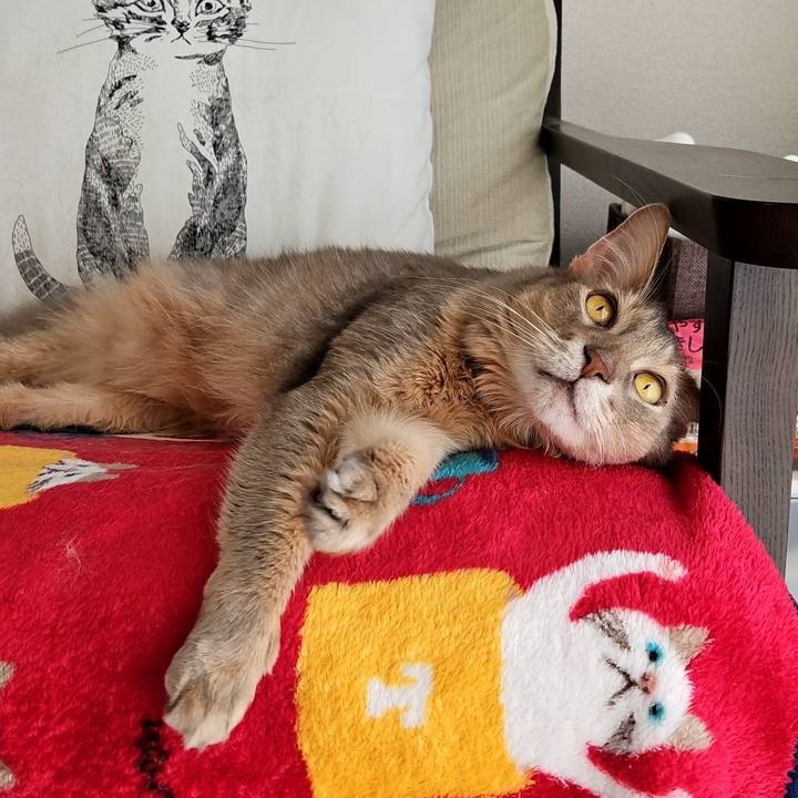 B31ec1be b81f 4874 917d 743f98b35ccb 1701951227318