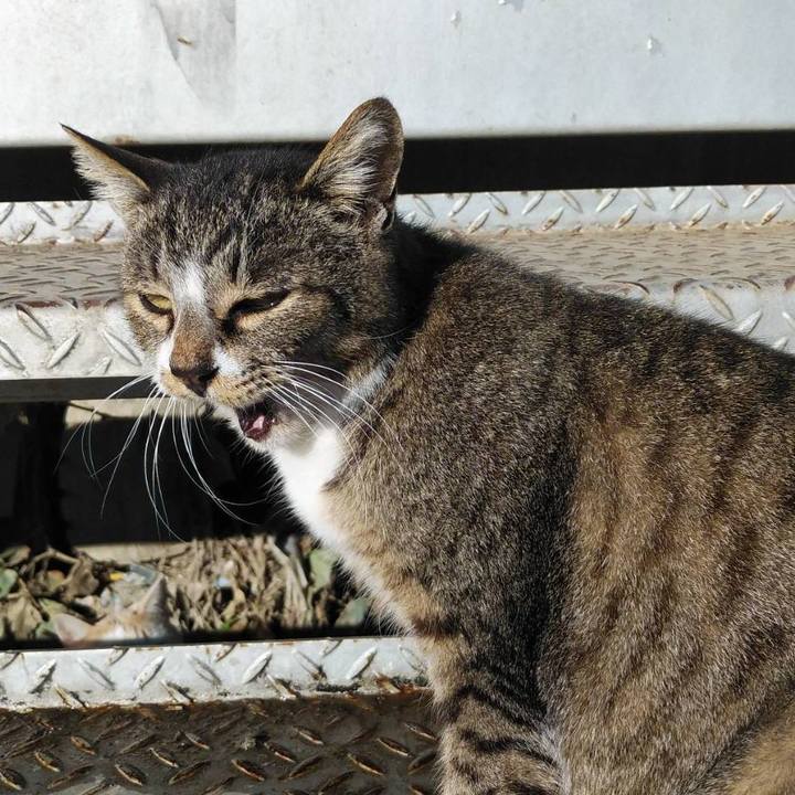 B31ecdb8 b458 4889 bd46 37dec2c6845b 1577408806504