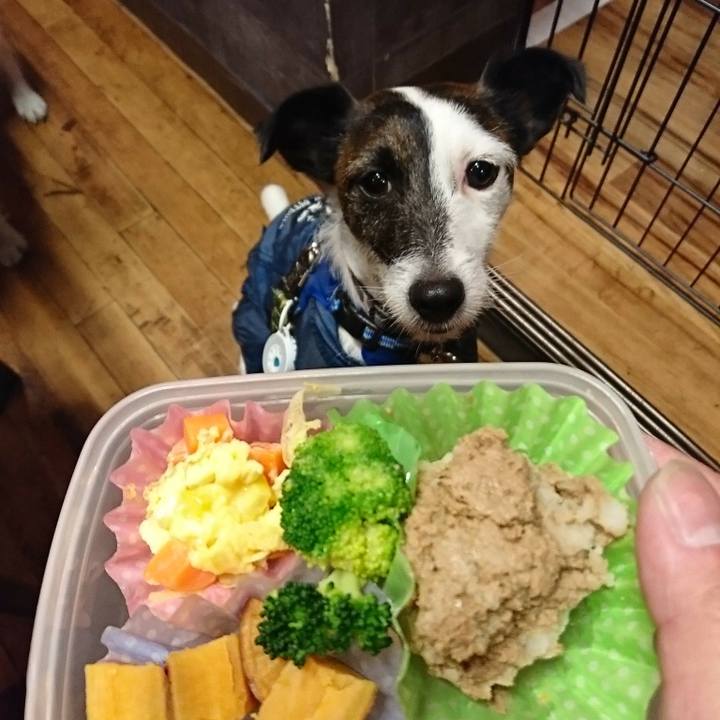 B31ef305 62a4 4544 bad4 e1022ec14d0e 1511618774471