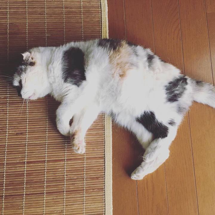 B31f0b29 e2be 4fa4 8e20 ffe7ec414c62 1563501072699