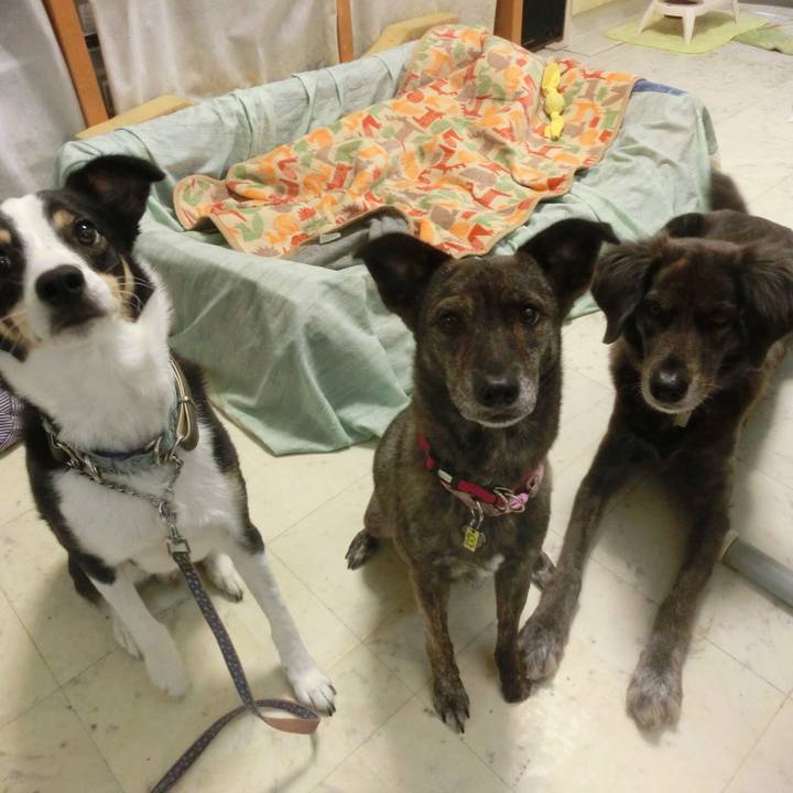 B31f1f27 c33c 4751 bf5a 22d95960df6d 1672232734391